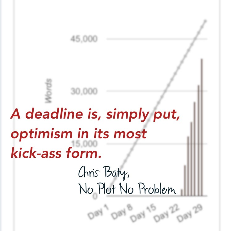 A deadline, simply put, is optimism in its most kick-ass form. -Chris Baty, No Plot? No Problem!