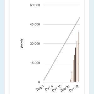 My 2014 NaNoWriMo Graph